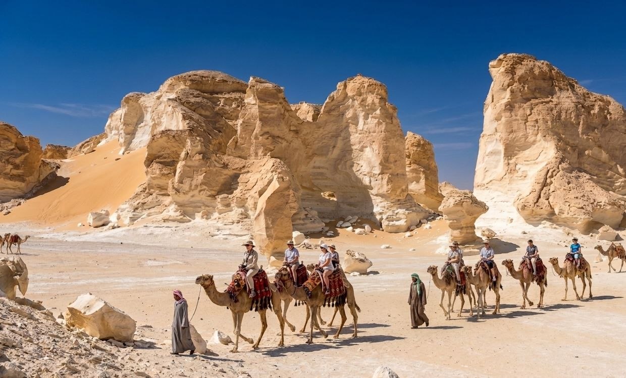 سفاري الجمال في مصر: كل ما تحتاج معرفته قبل الركوب