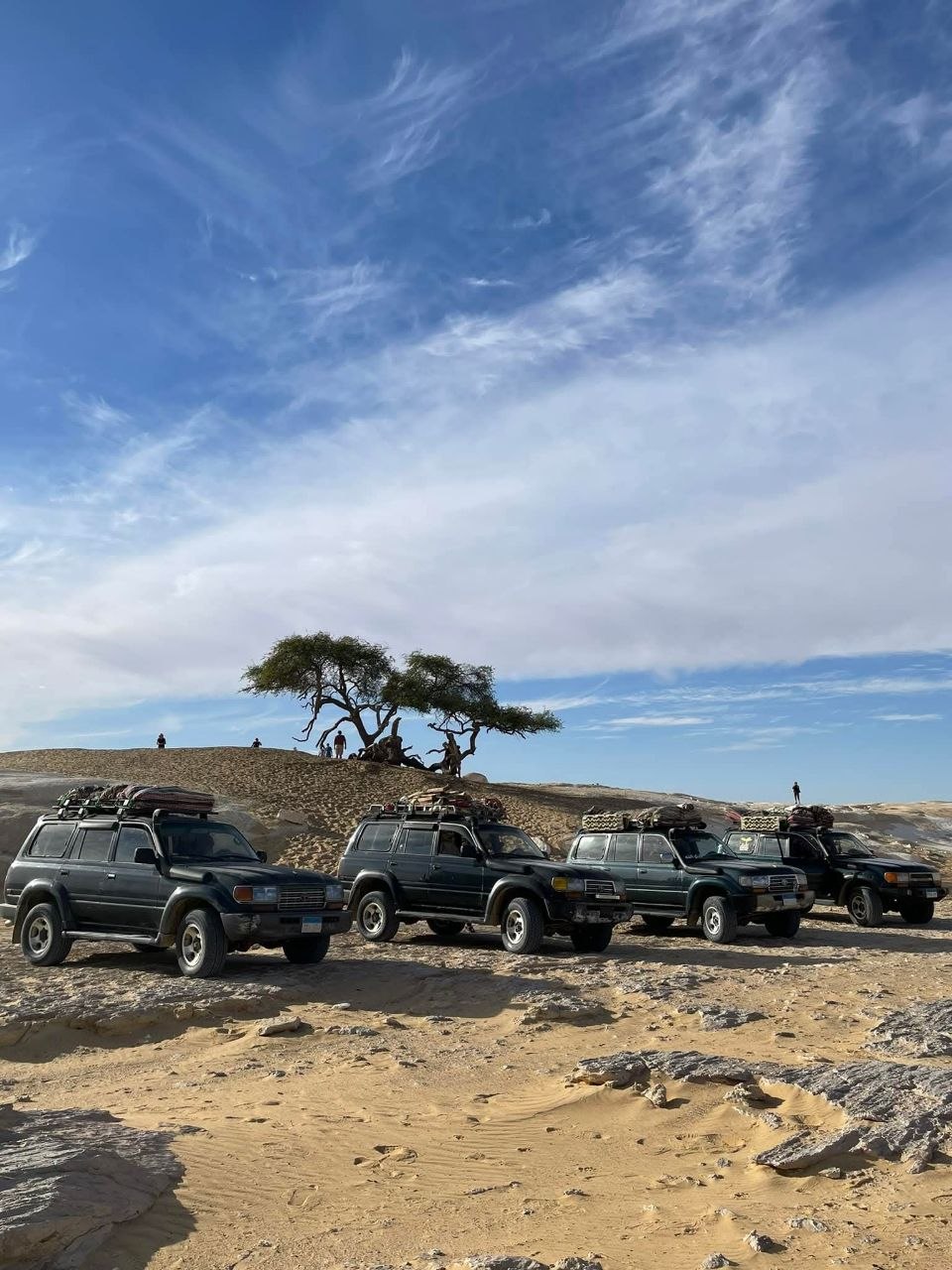 سفاري الصحراء بسيارة 4x4 في مصر: دليل مغامرة خارج الطريق (2026)