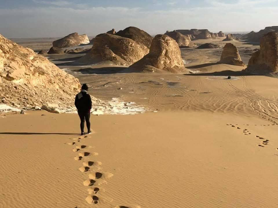 Desert safari thumbnail