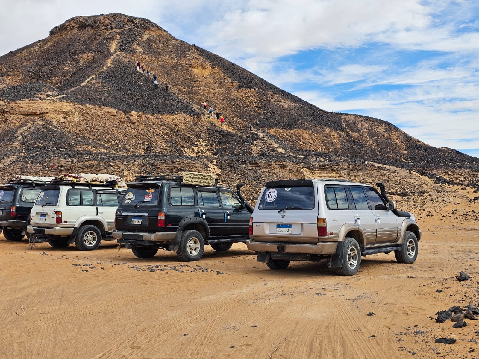 Desert safari thumbnail
