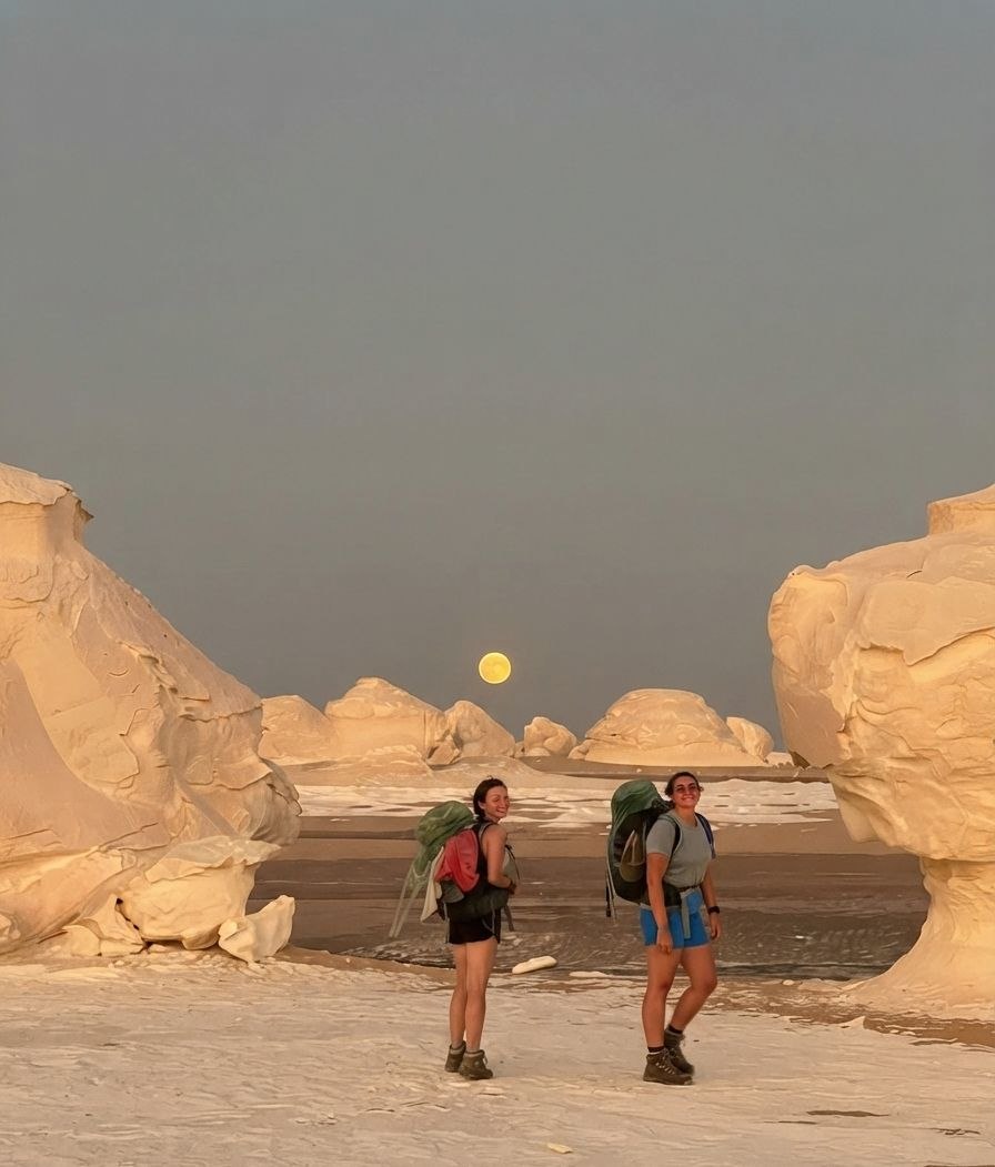 Desert safari thumbnail