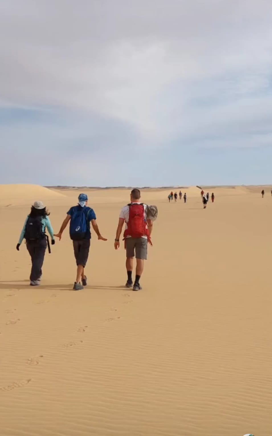 Desert safari thumbnail