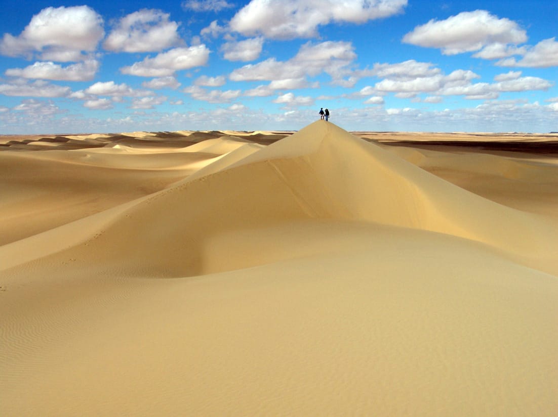 Desert safari thumbnail