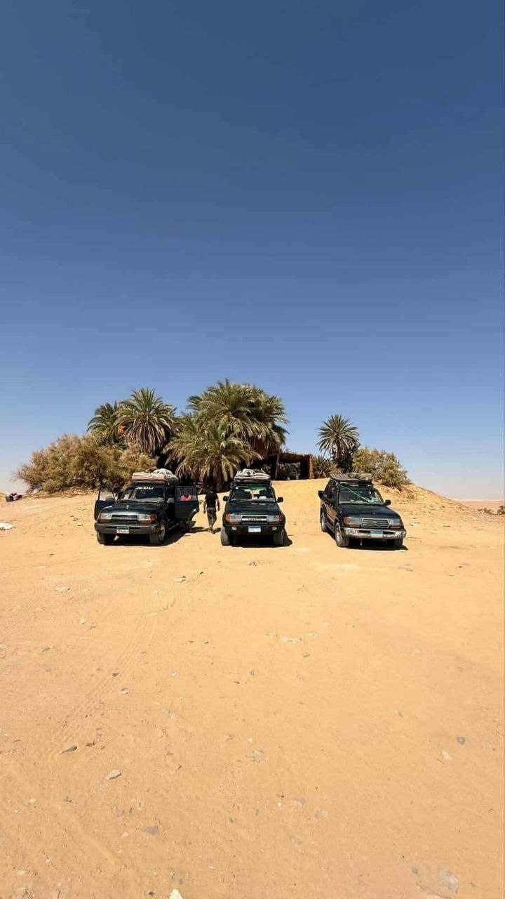 Desert safari thumbnail