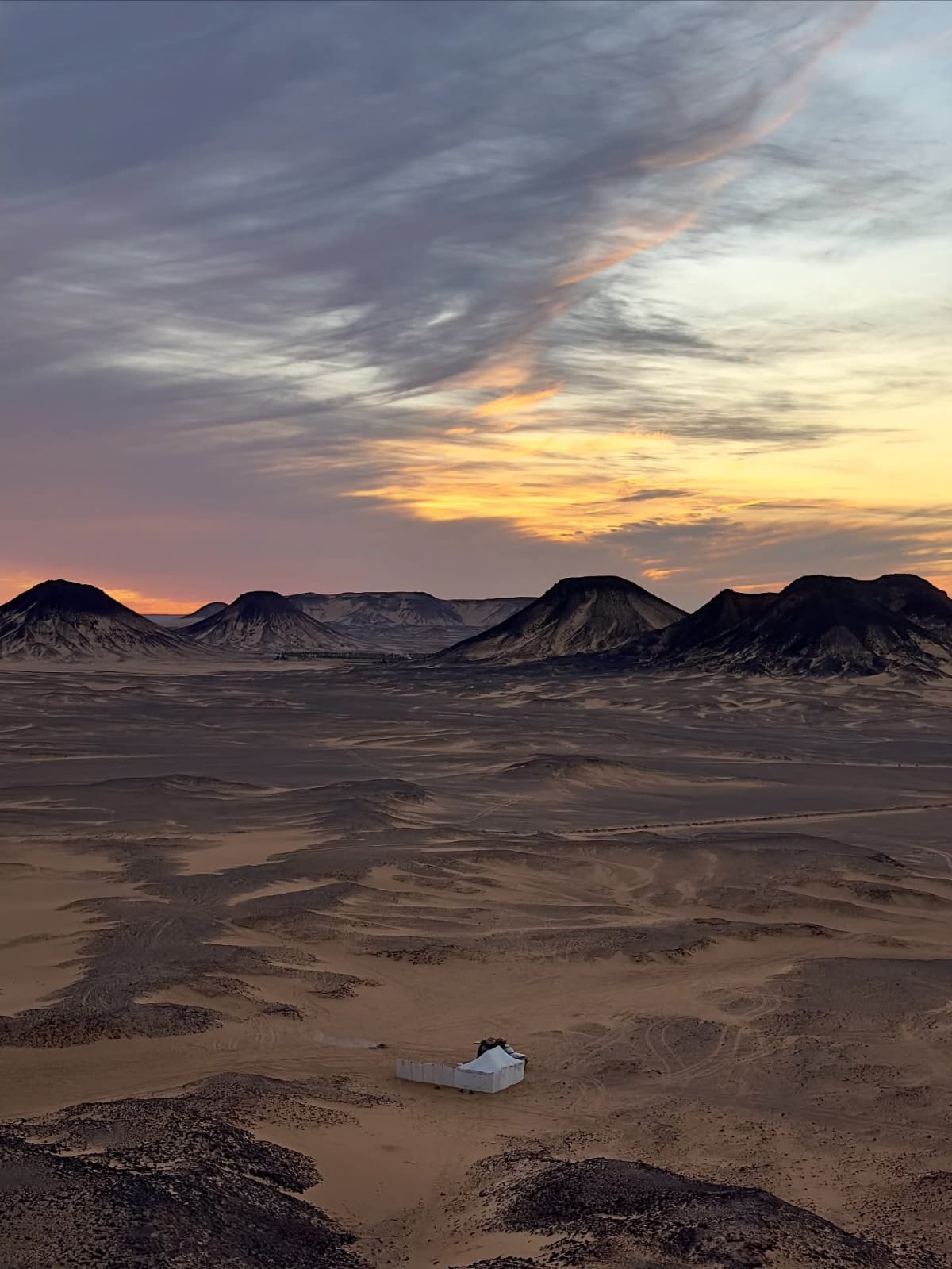 Desert safari thumbnail