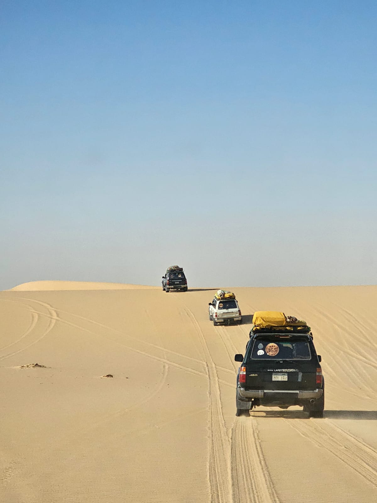 Desert safari thumbnail