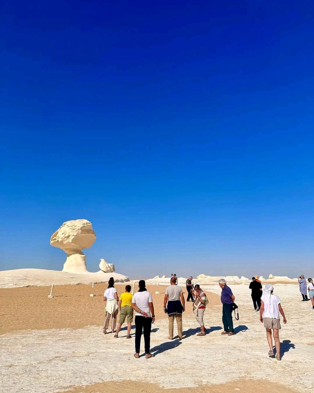 Desert safari thumbnail