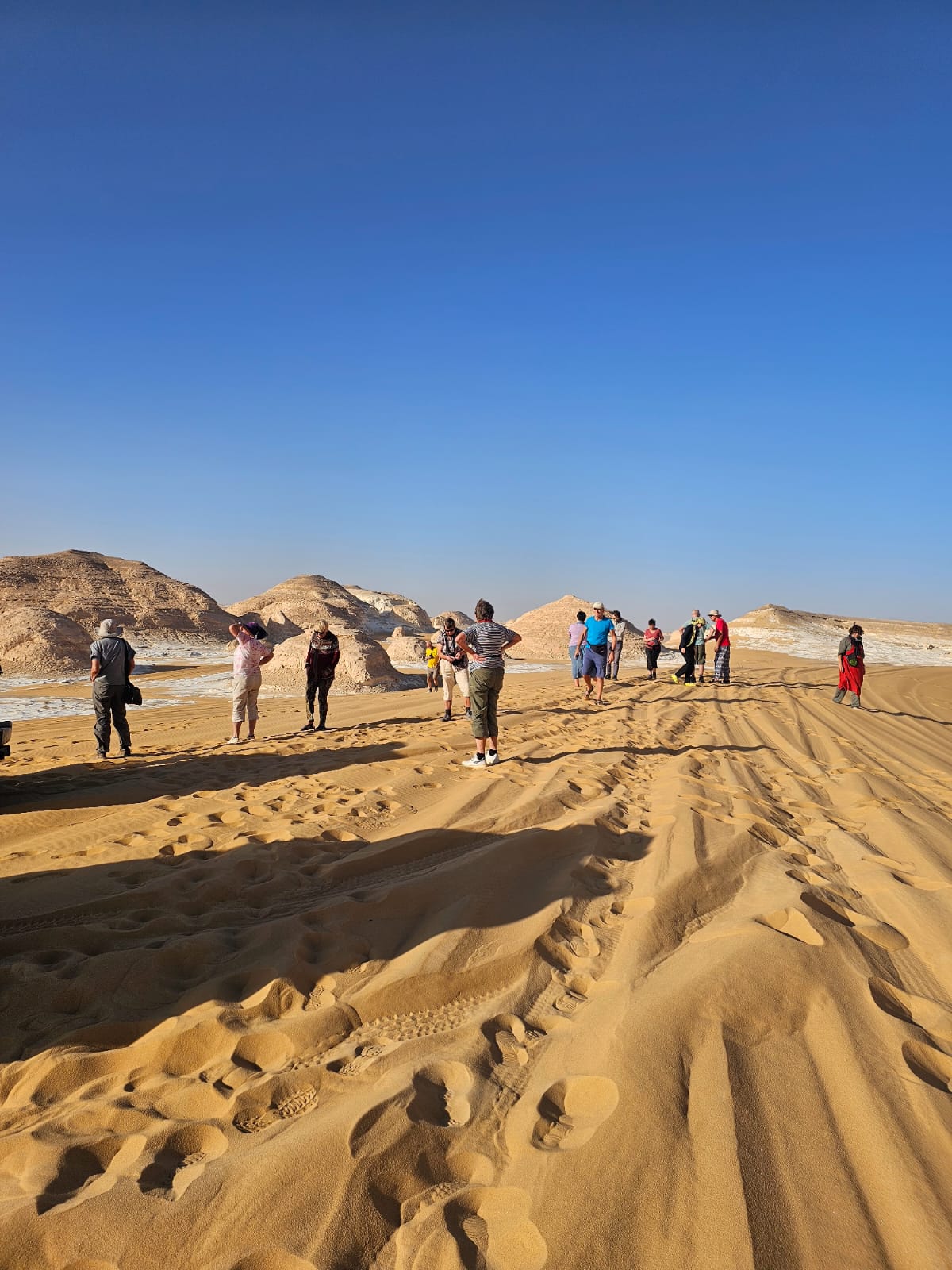 Desert safari thumbnail