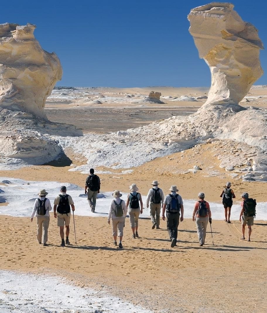 Desert safari thumbnail
