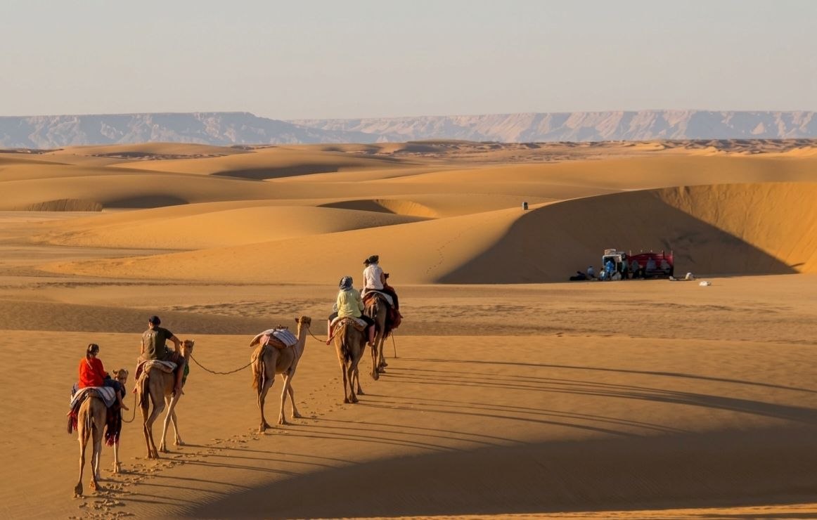 Desert safari thumbnail