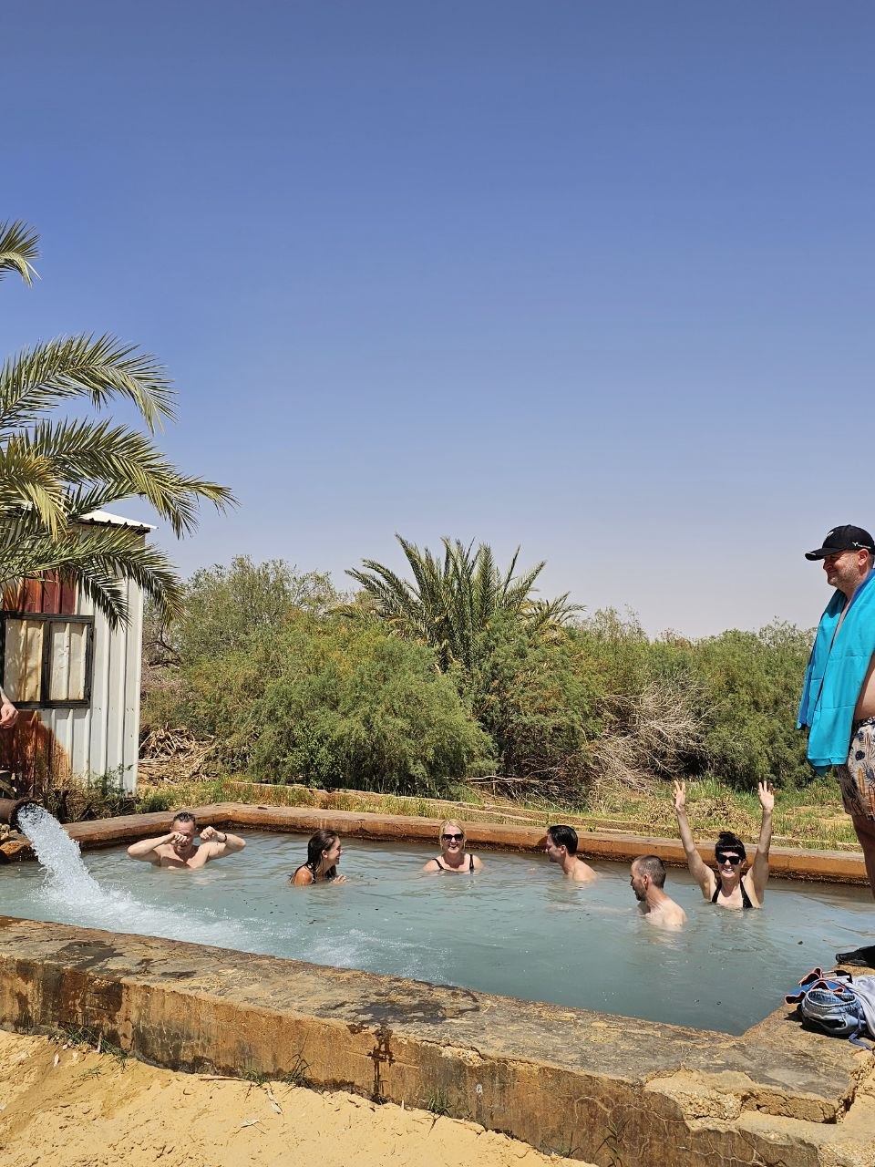 Desert safari thumbnail