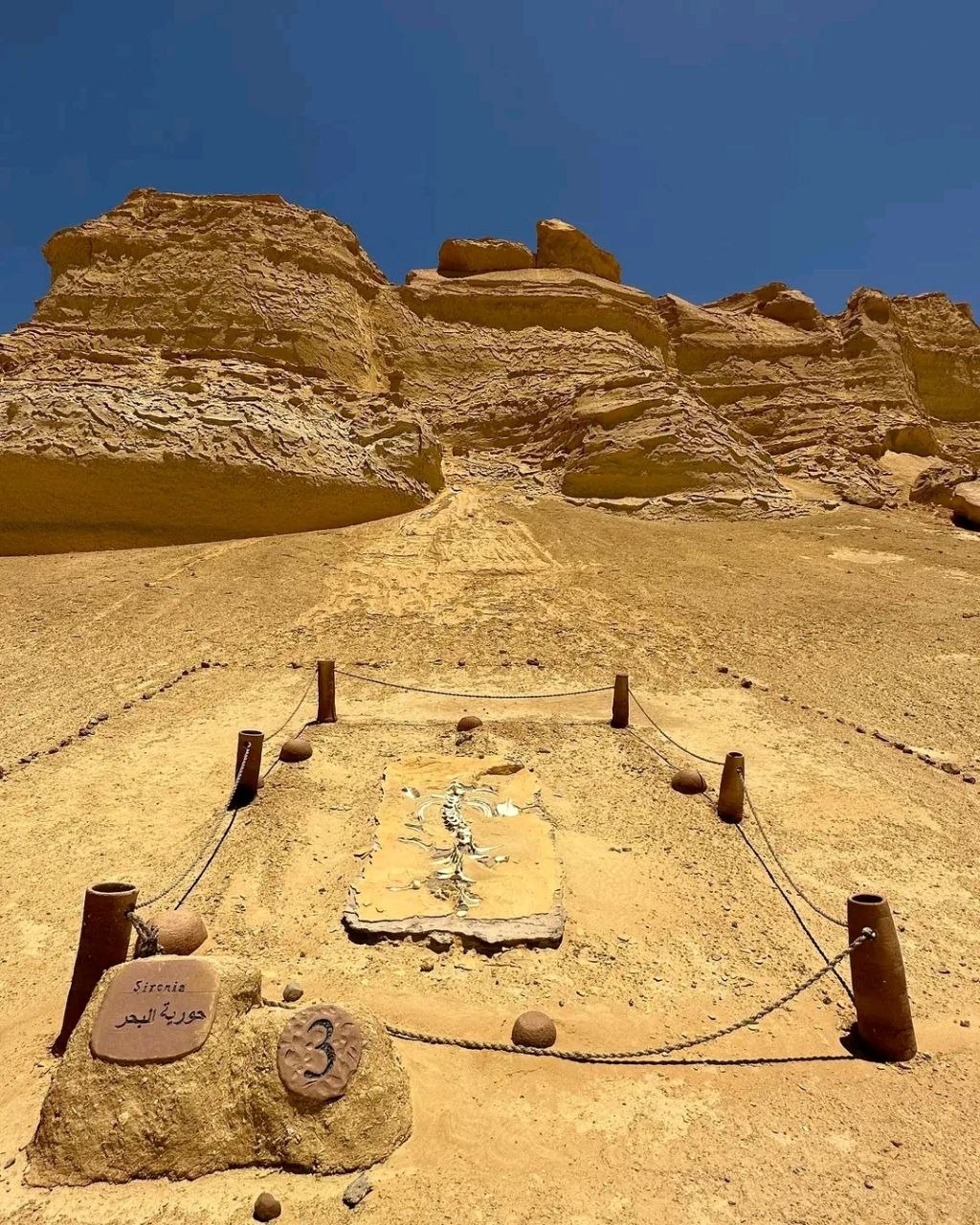 Desert safari thumbnail