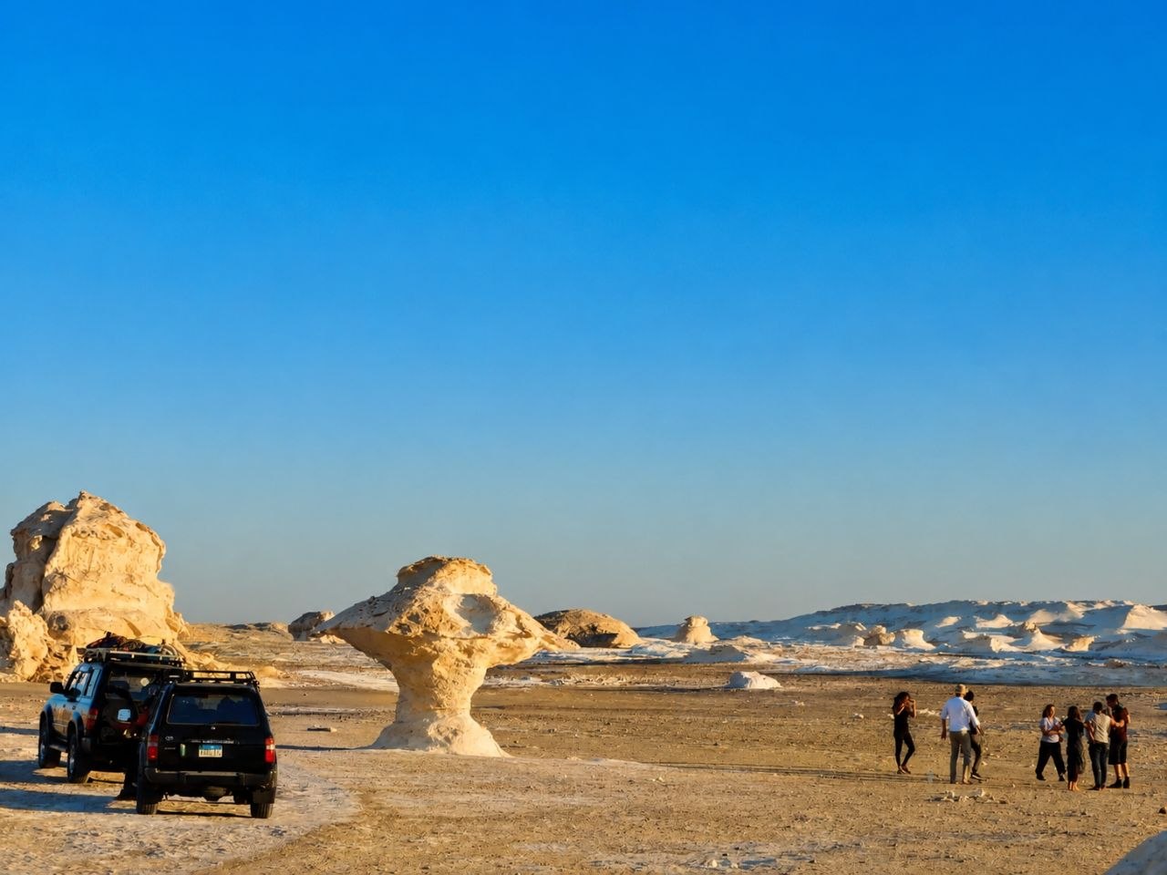 Desert safari thumbnail