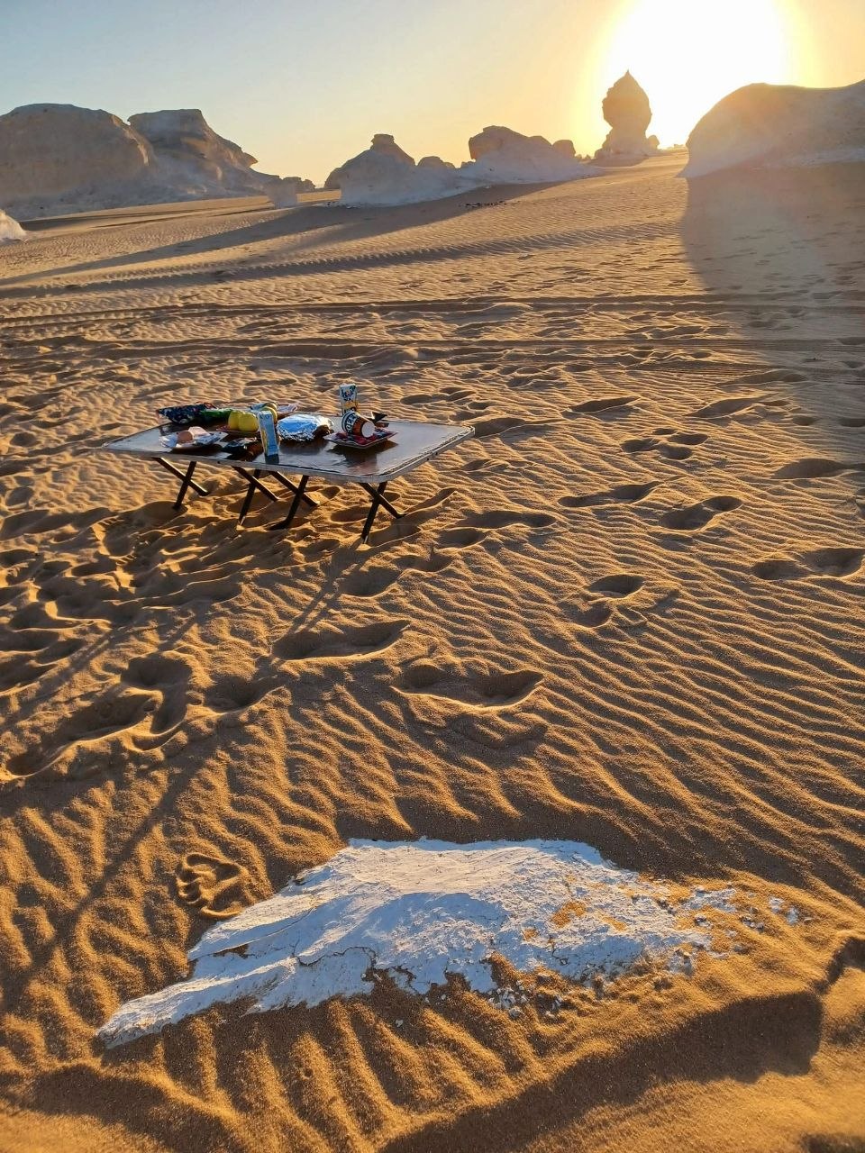 Desert safari thumbnail