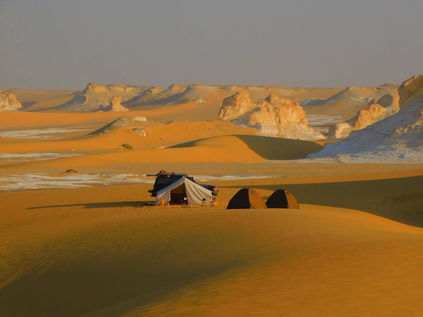Desert safari thumbnail