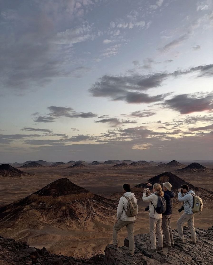 Desert safari thumbnail