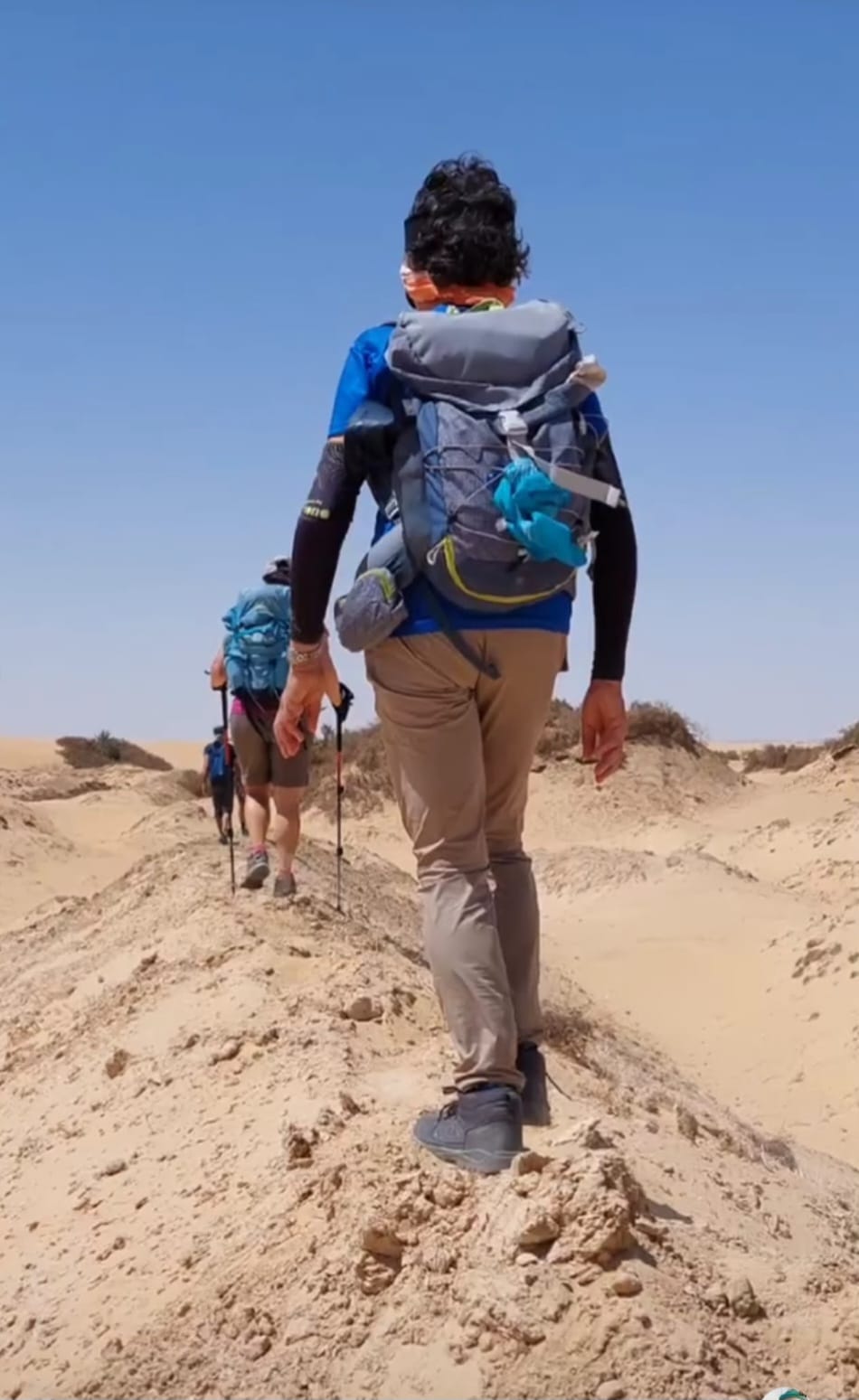 Desert safari thumbnail