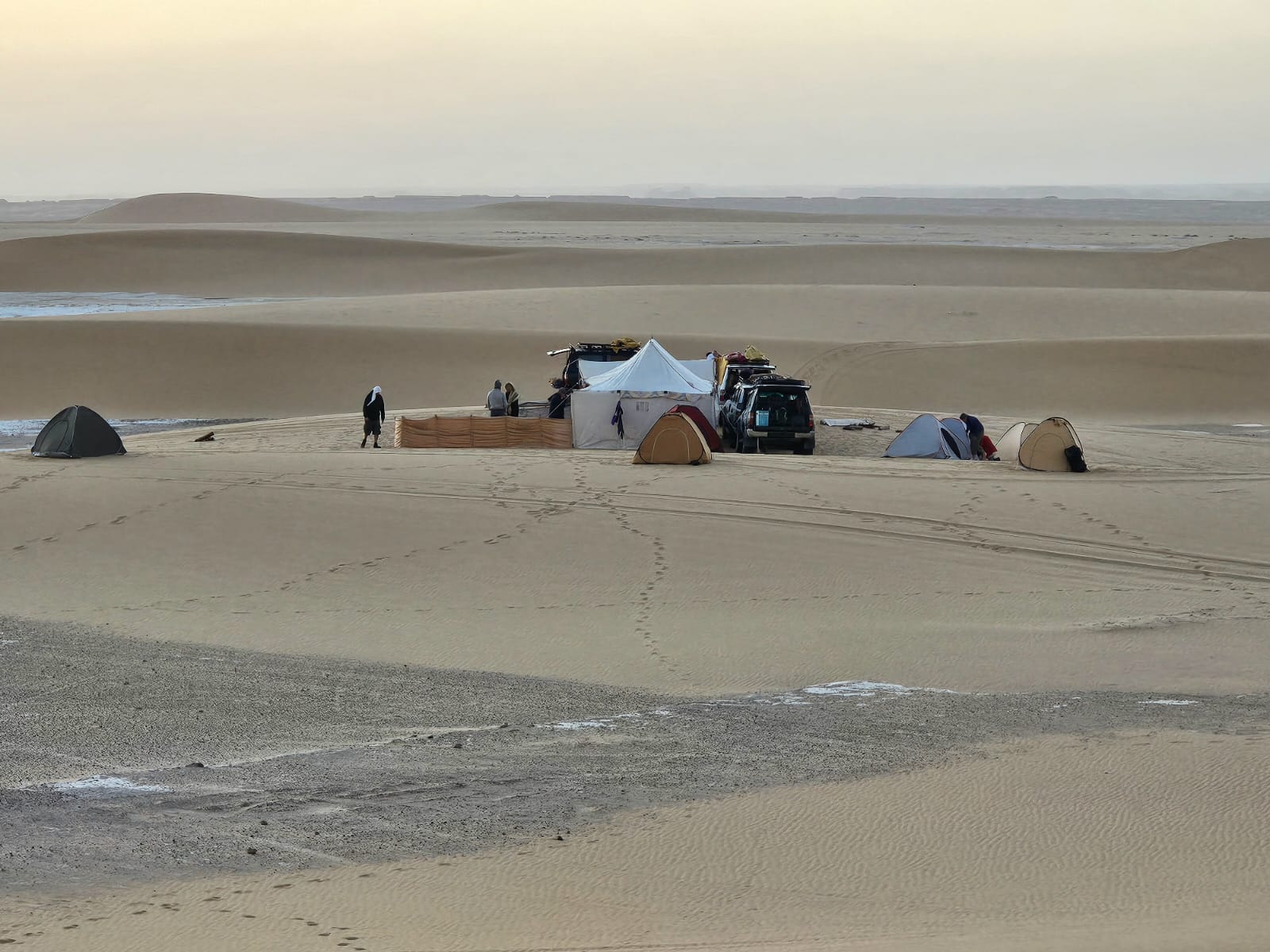 Desert safari thumbnail
