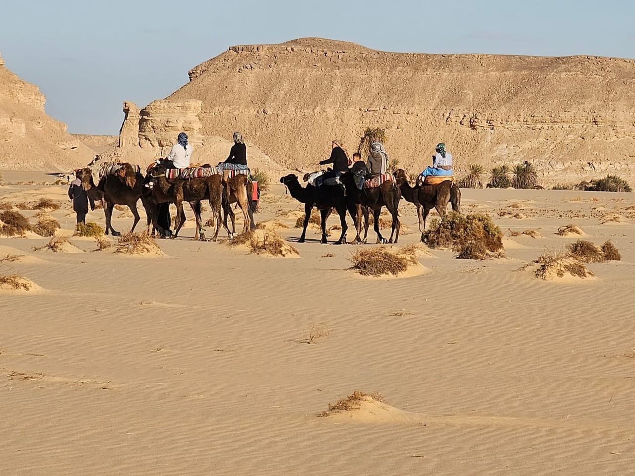Desert safari thumbnail
