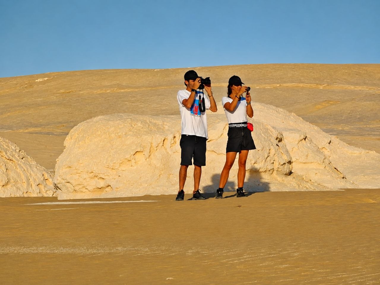 Desert safari thumbnail