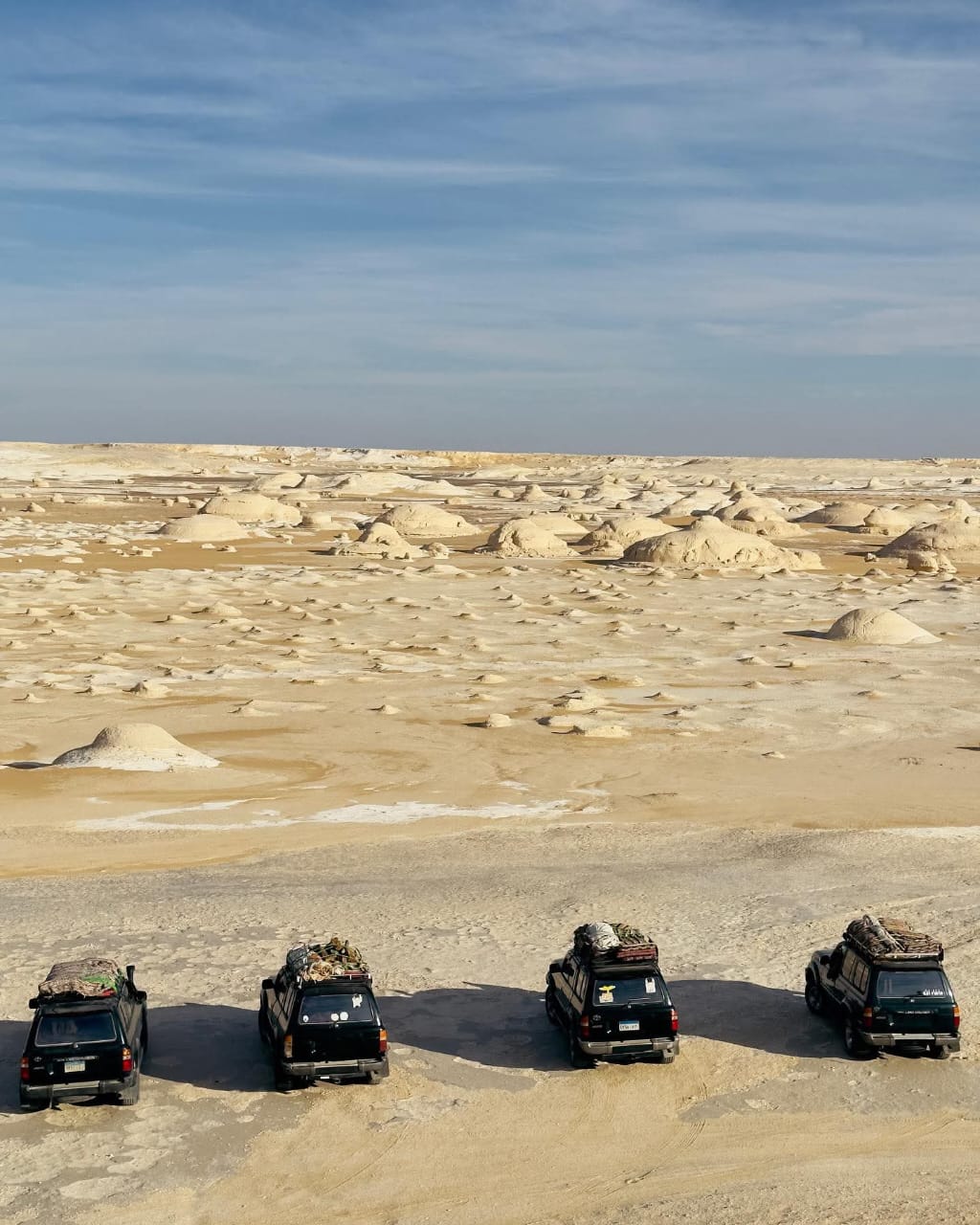 Desert safari thumbnail