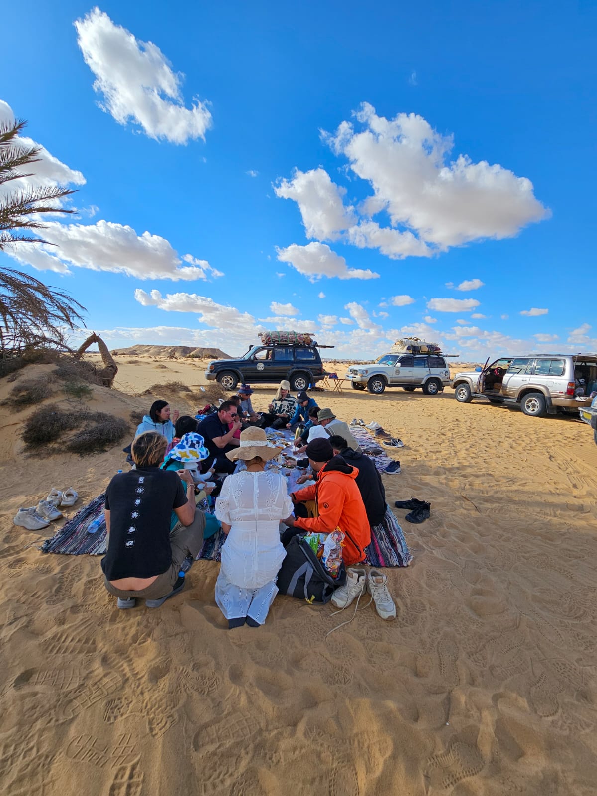 Desert safari thumbnail