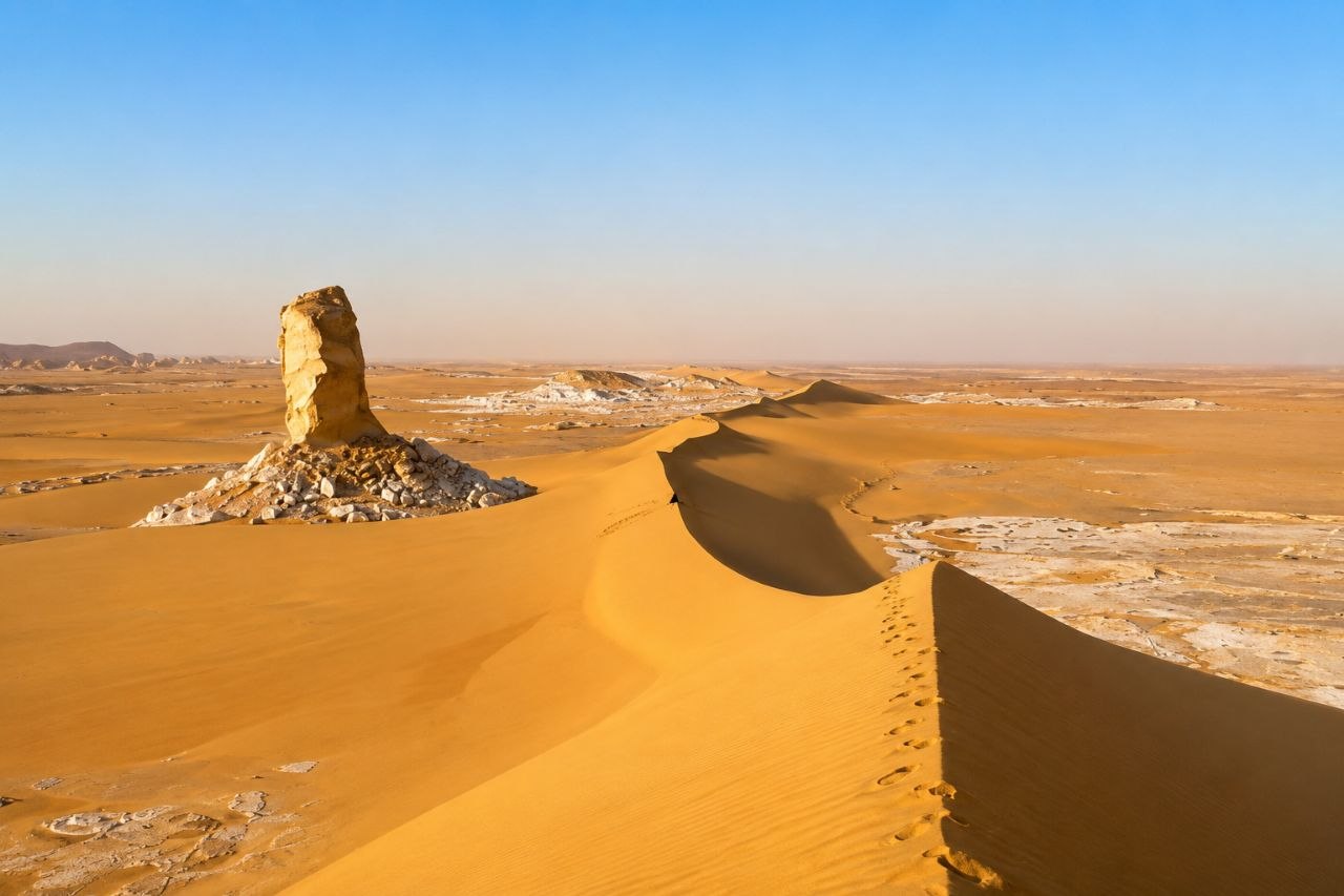 Desert safari thumbnail