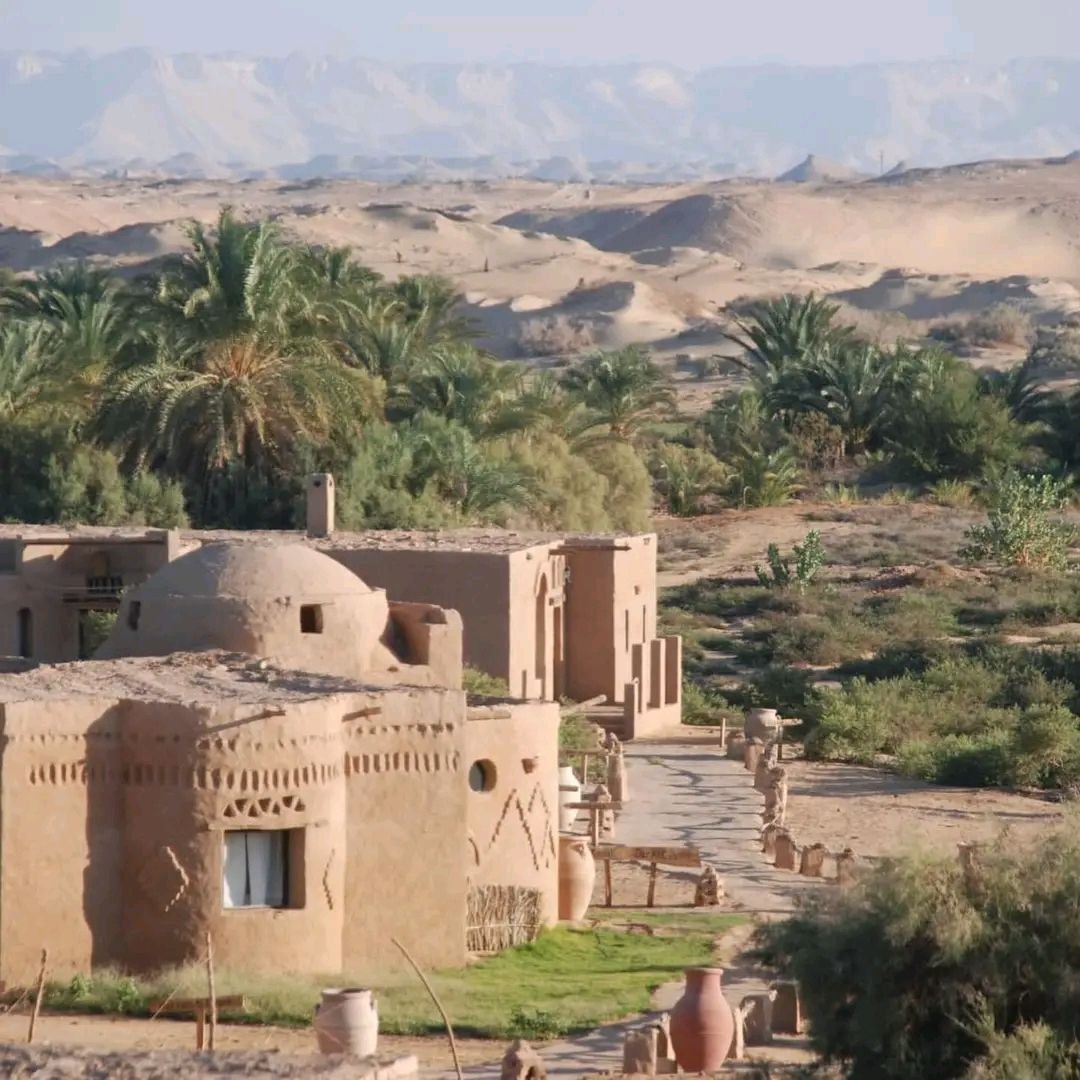 Desert safari thumbnail