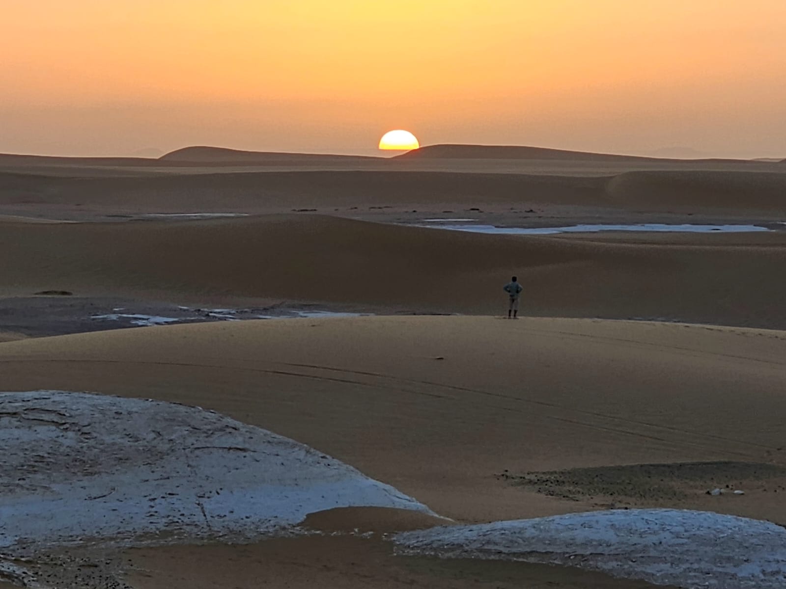 Desert safari thumbnail