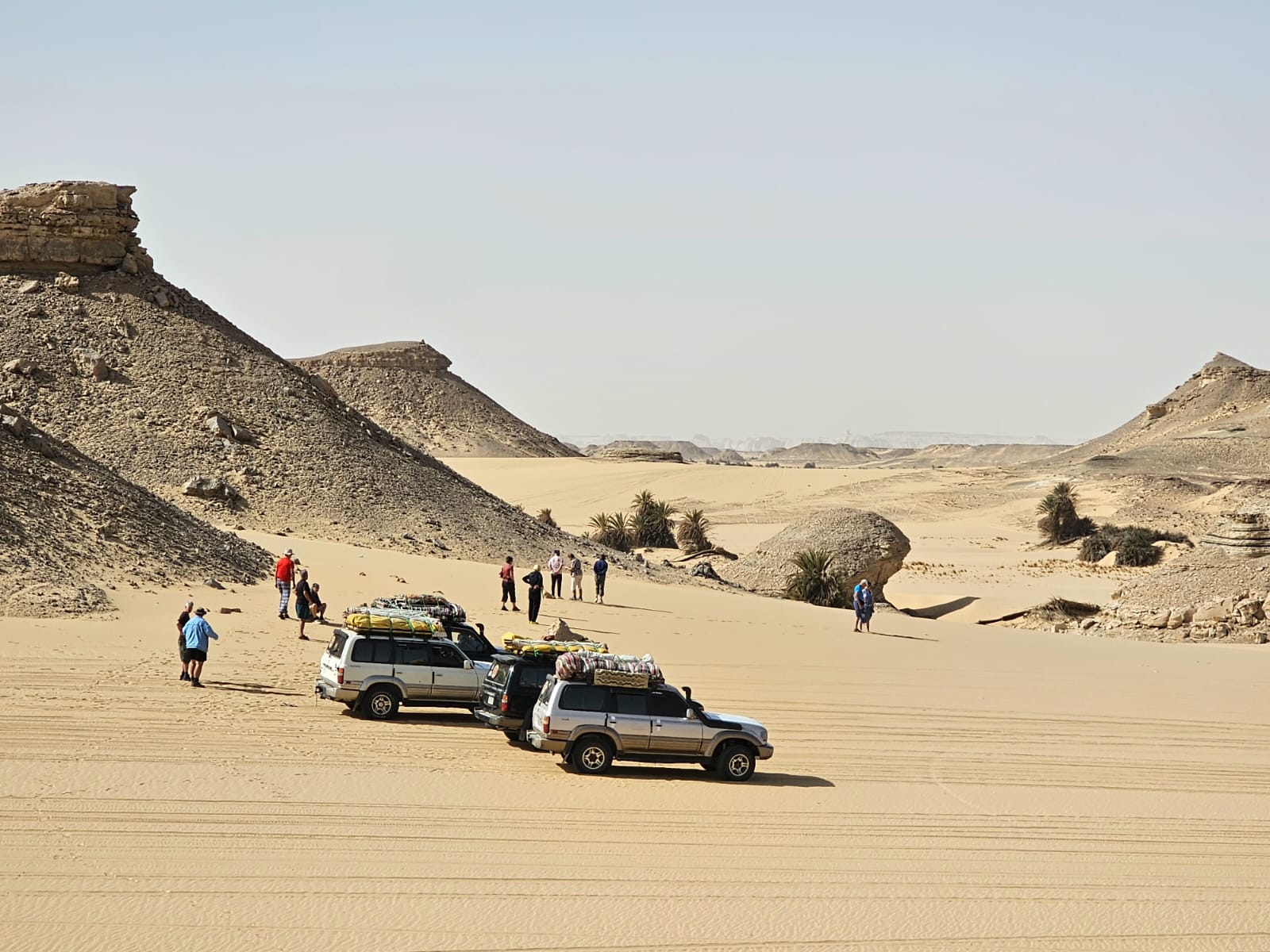 Desert safari thumbnail