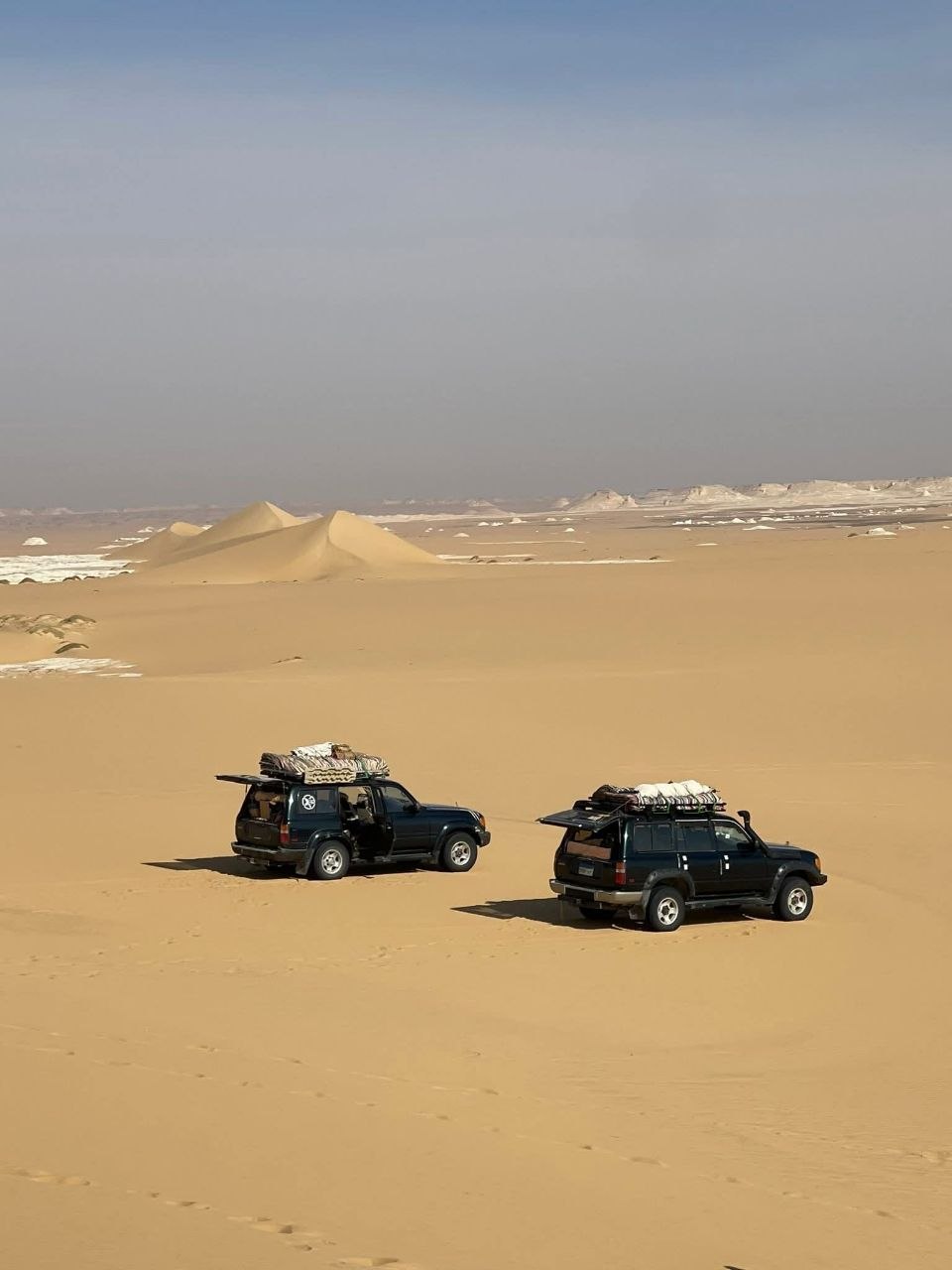 Desert safari thumbnail