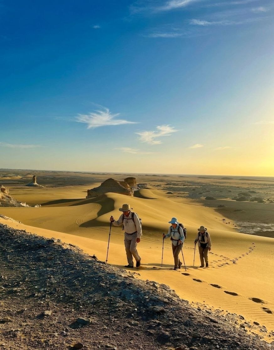 Desert safari thumbnail
