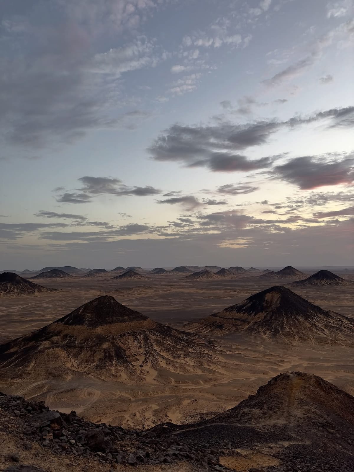Desert safari thumbnail