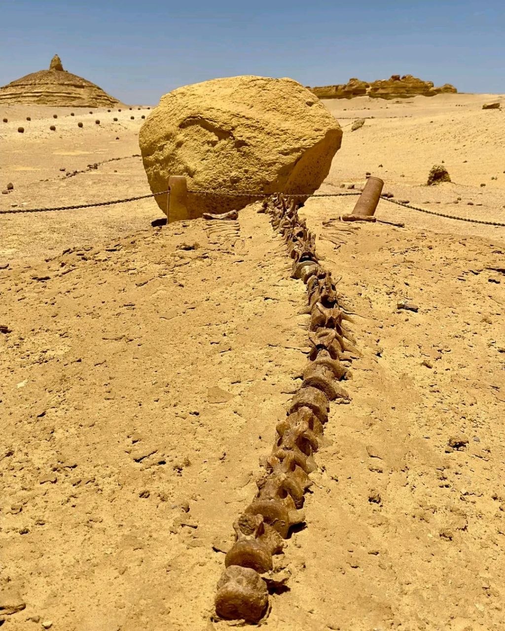 مغامرة التخييم الصحراء والفيوم