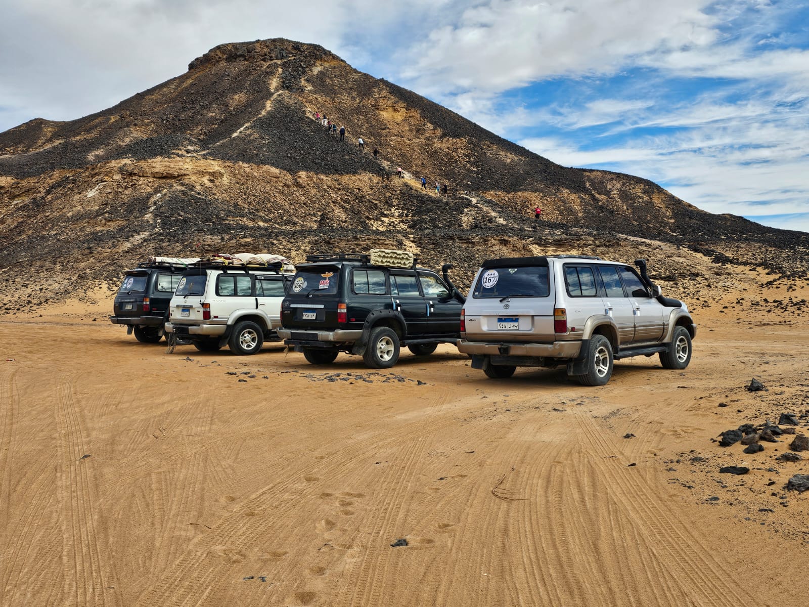 Desert safari thumbnail