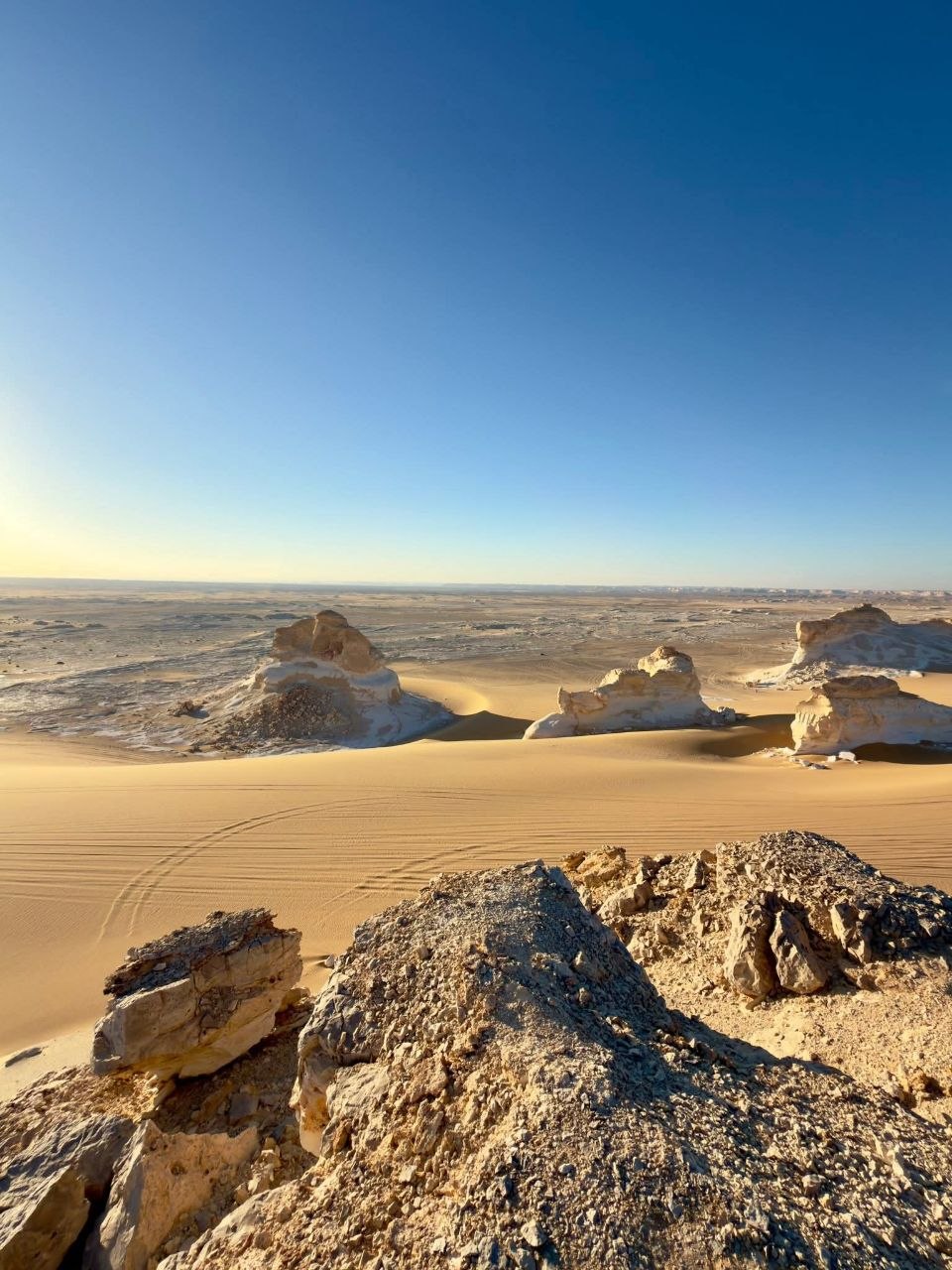 Desert safari thumbnail