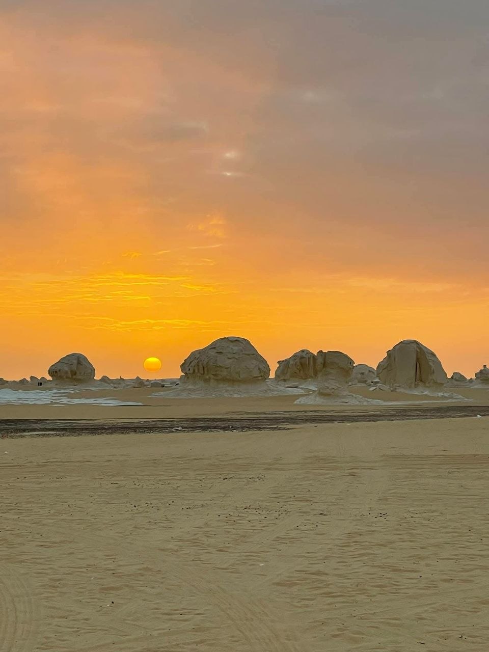Desert safari thumbnail
