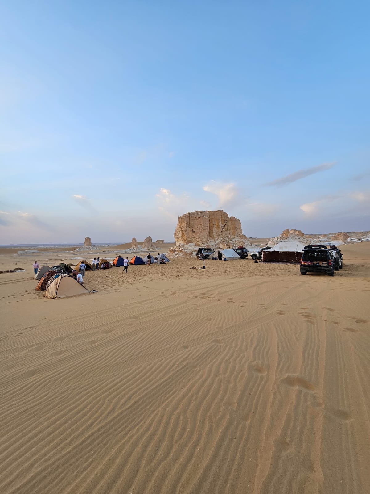 Desert safari thumbnail
