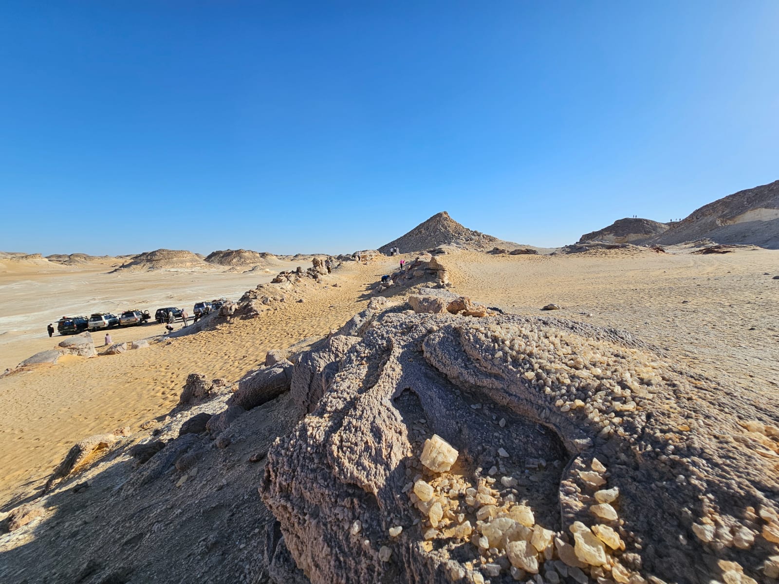 Desert safari thumbnail