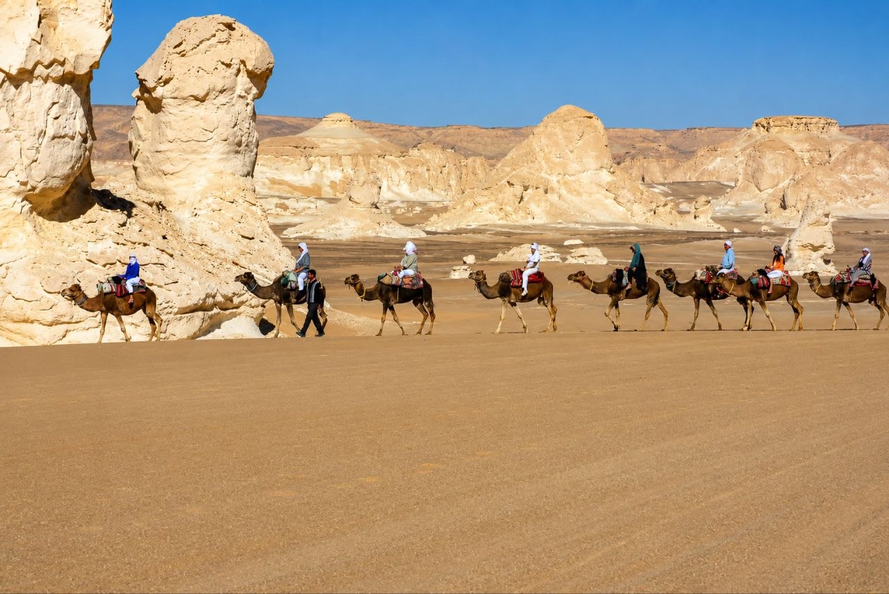 رحلة المشي في الصحراء البيضاء