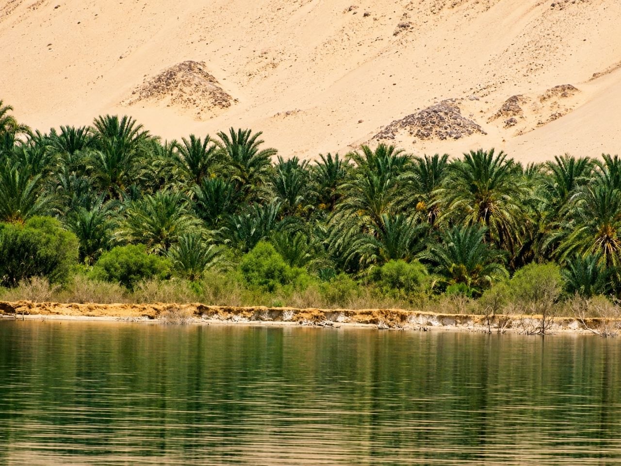 Desert safari thumbnail