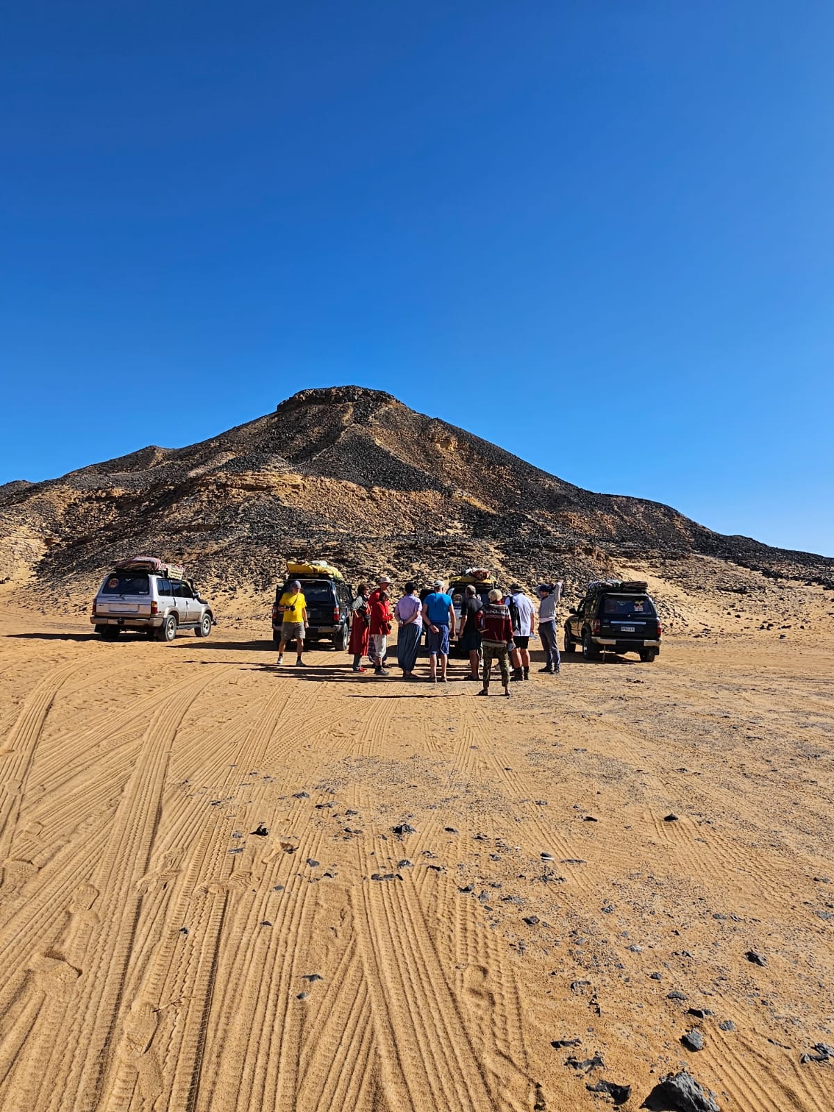 Desert safari thumbnail