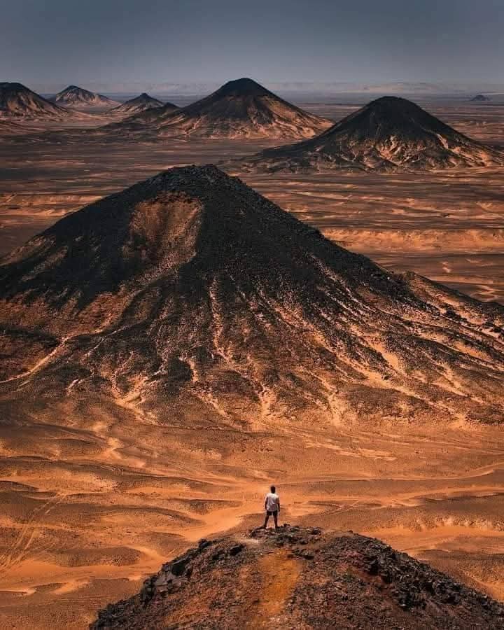 Desert safari thumbnail