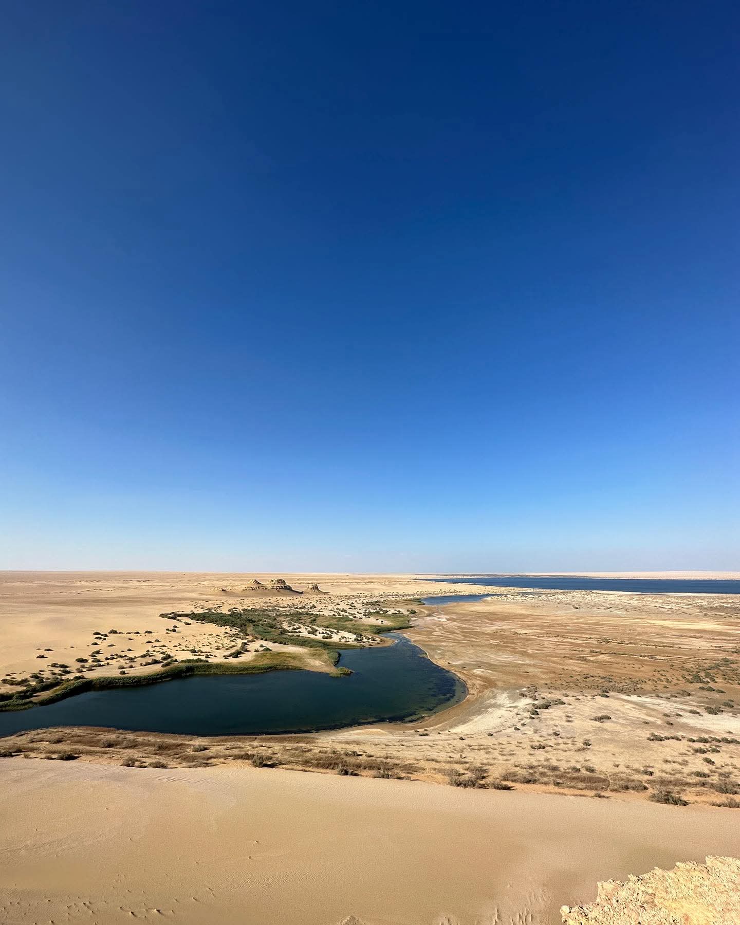 Desert safari thumbnail