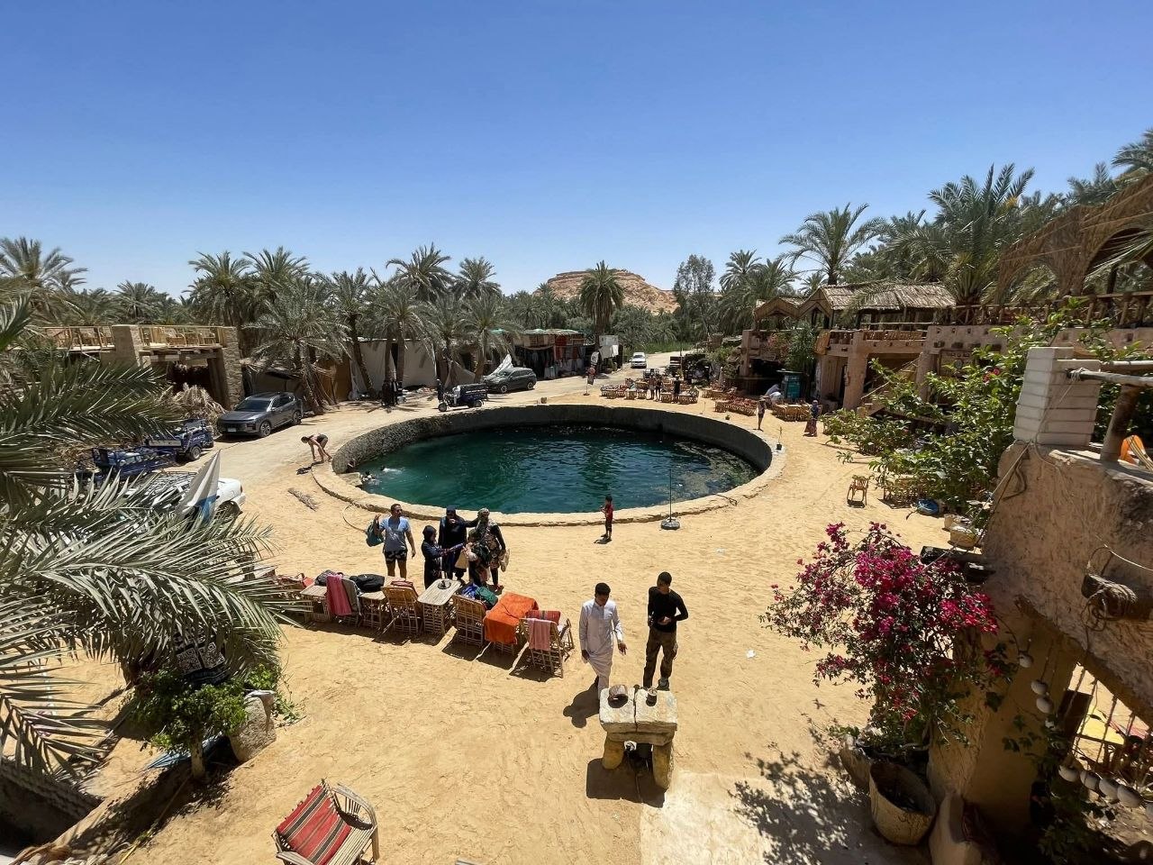 Desert safari thumbnail