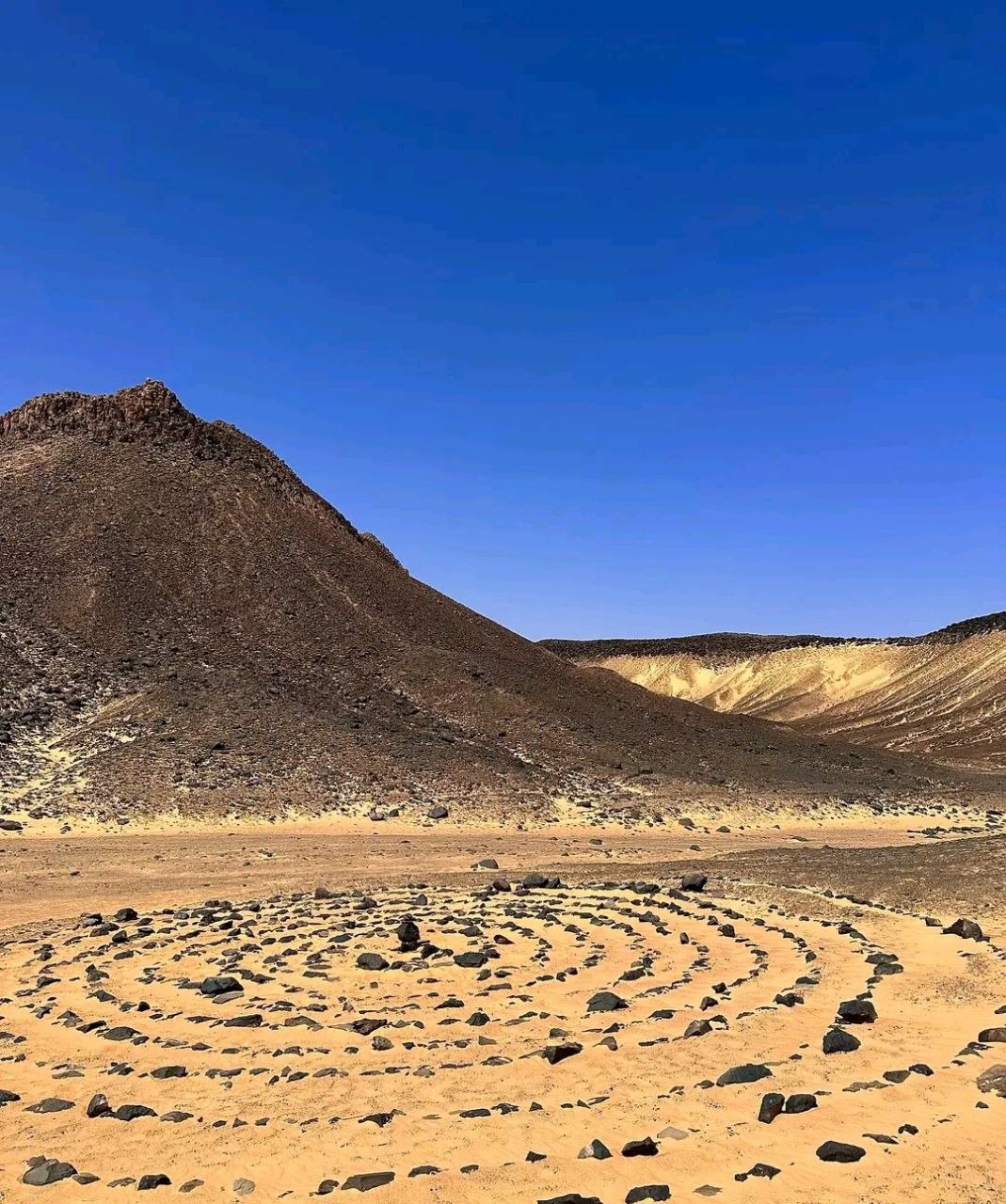 Desert safari thumbnail