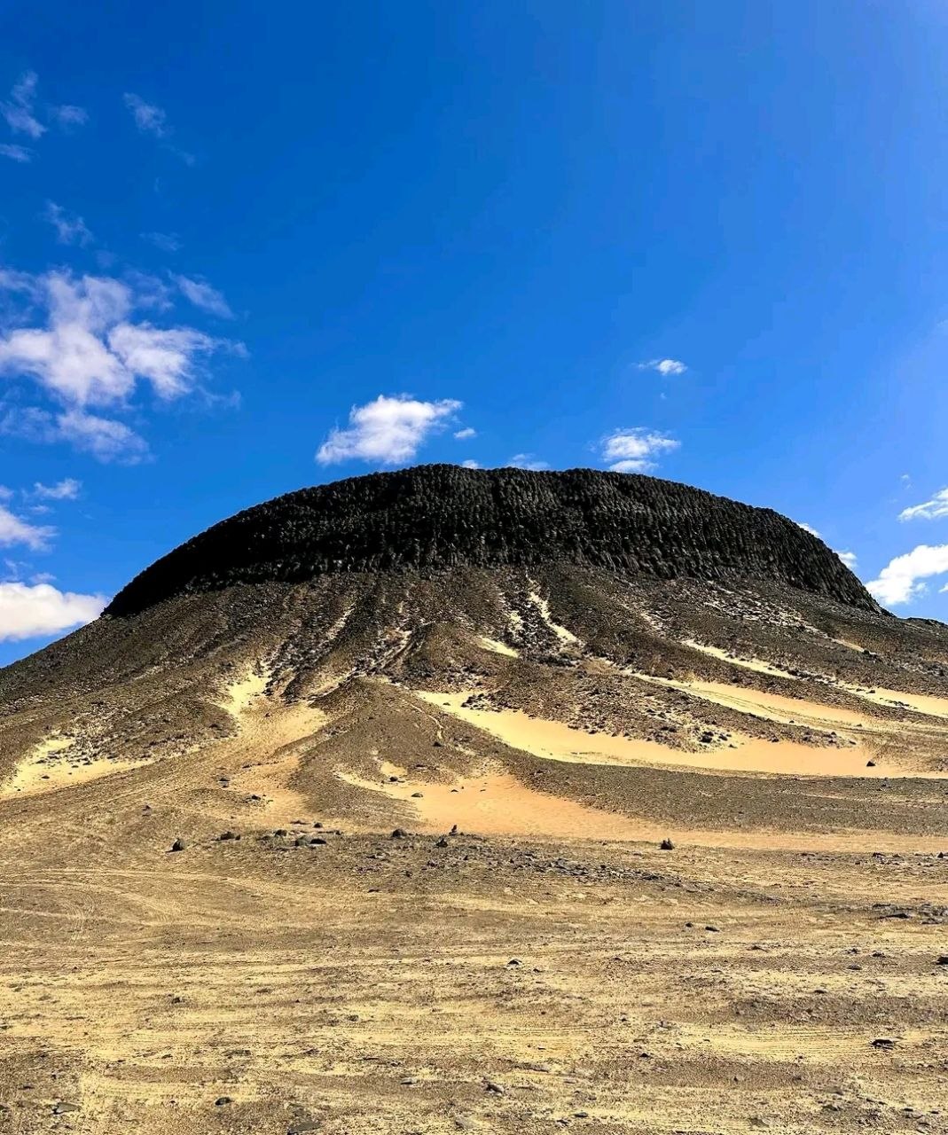 Desert safari thumbnail
