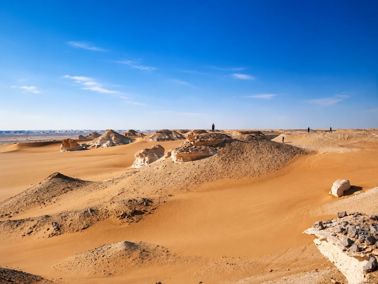 Desert safari thumbnail