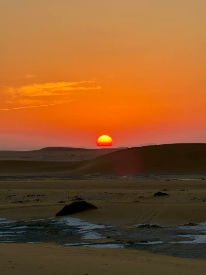 Desert safari thumbnail