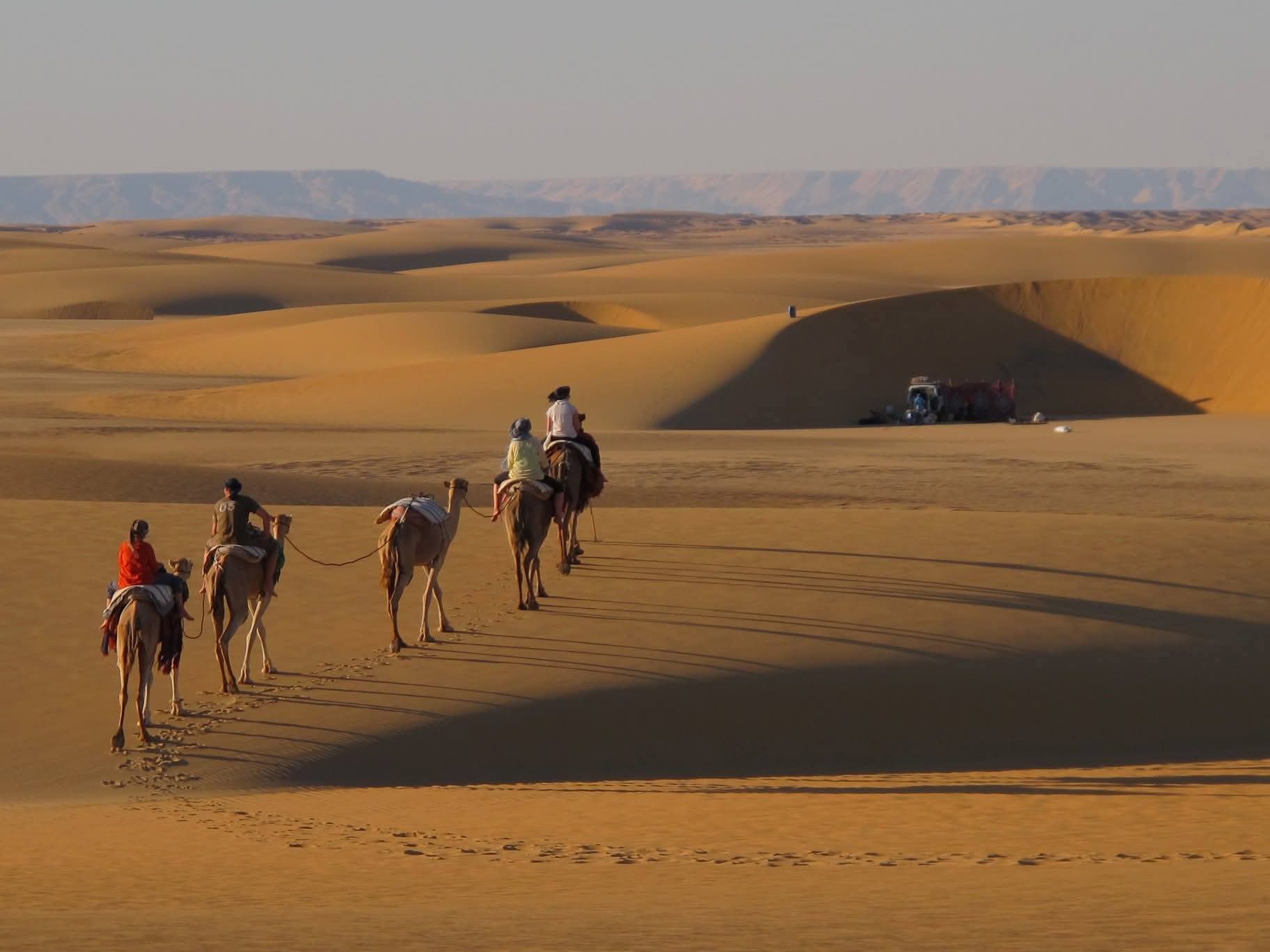 Desert safari thumbnail